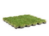 Imagen de Roofingreen Leaf - Terrazas.